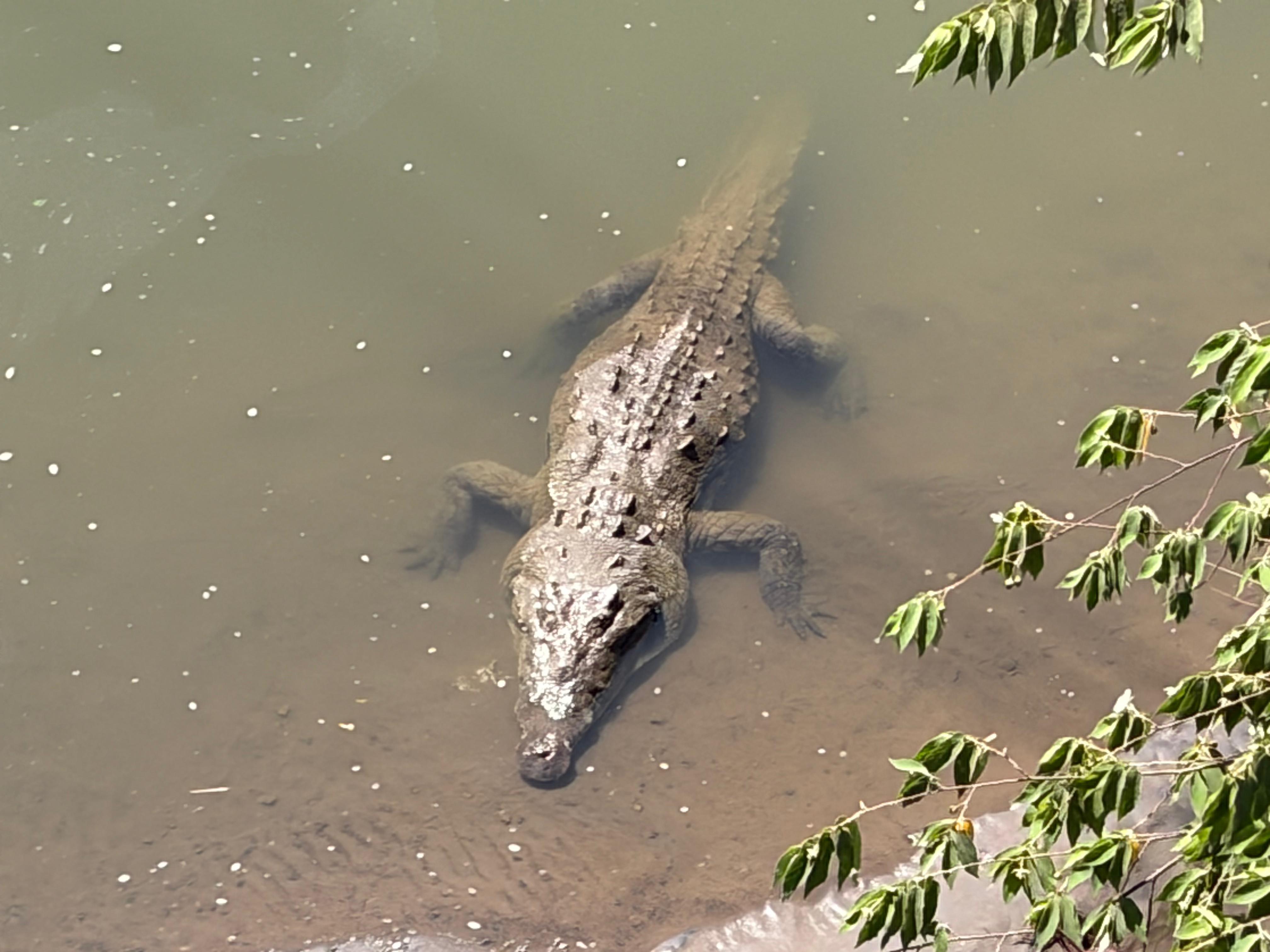 WhatsApp Image 2026-01-25 at 5.52.35 PM (2)